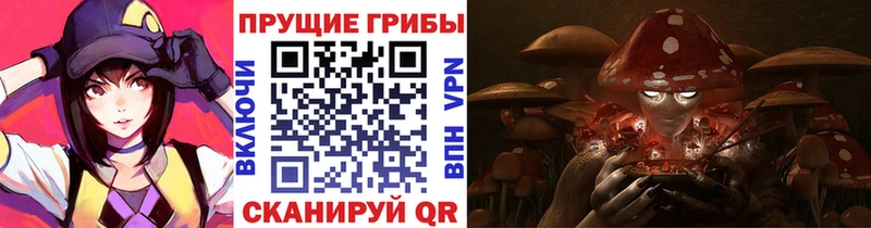 Псилоцибиновые грибы Cubensis  Купить где  Сенгилей 