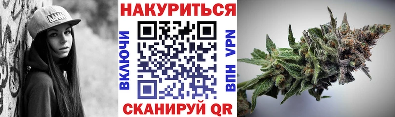 Купить  Сенгилей  Каннабис планчик 